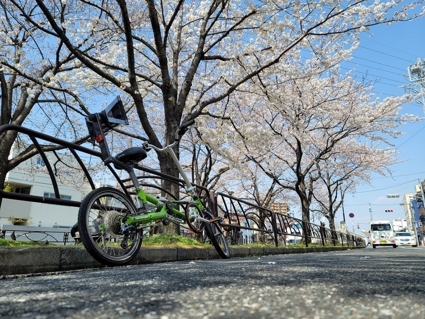 Tartaruga Type Folding】来る春に向けて、独特な乗車姿勢、視点が魅力 