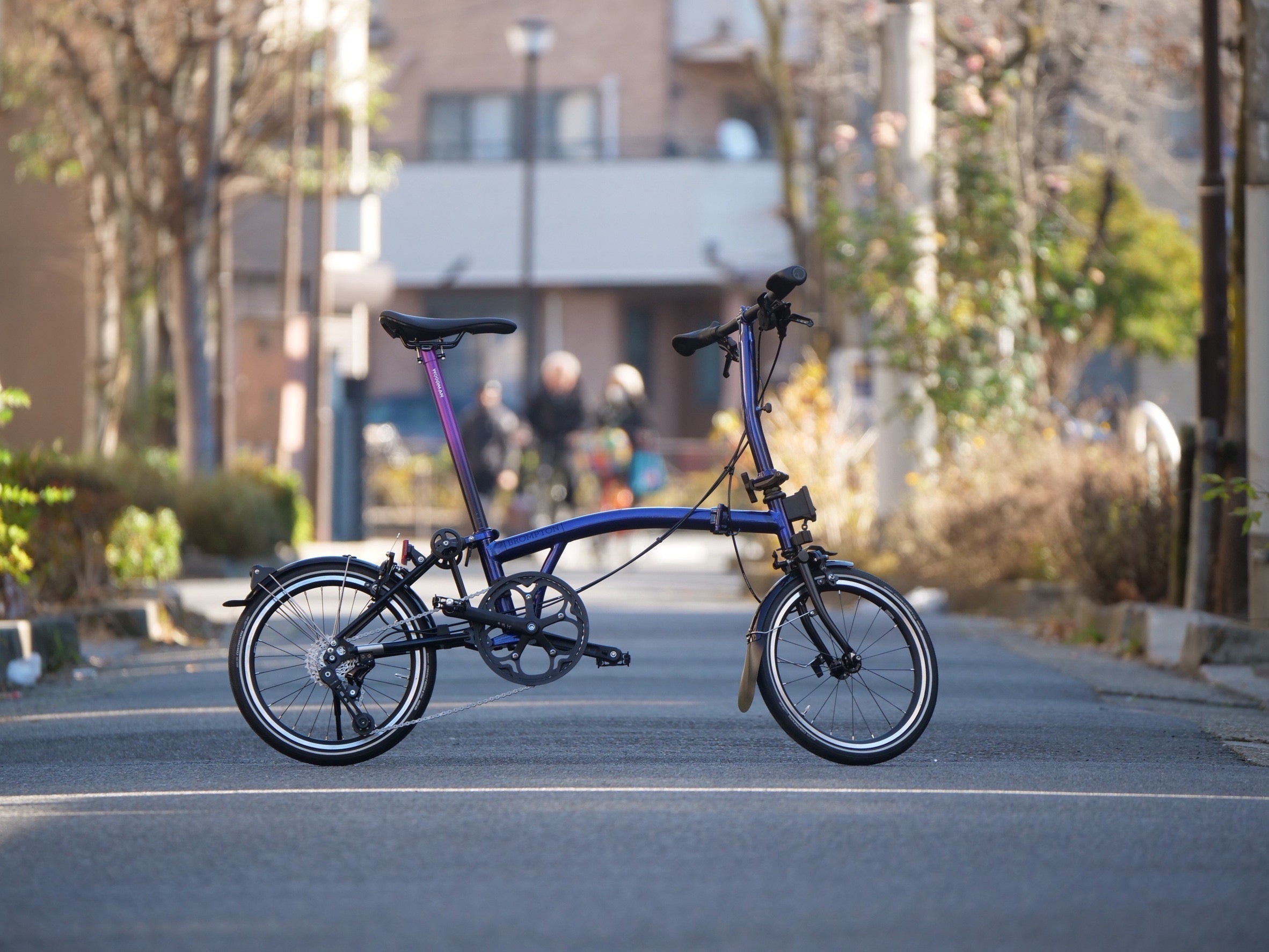BROMPTON x カスタム】P LINE外装+軽量カスタム！