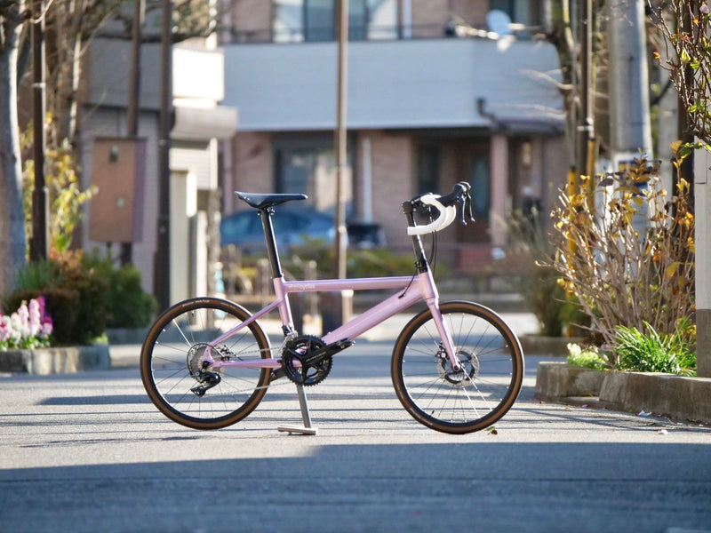 stuncycles ステインサイクルズ ミニベロ ロードの王座、ステインサイクルズ Peg Road👑