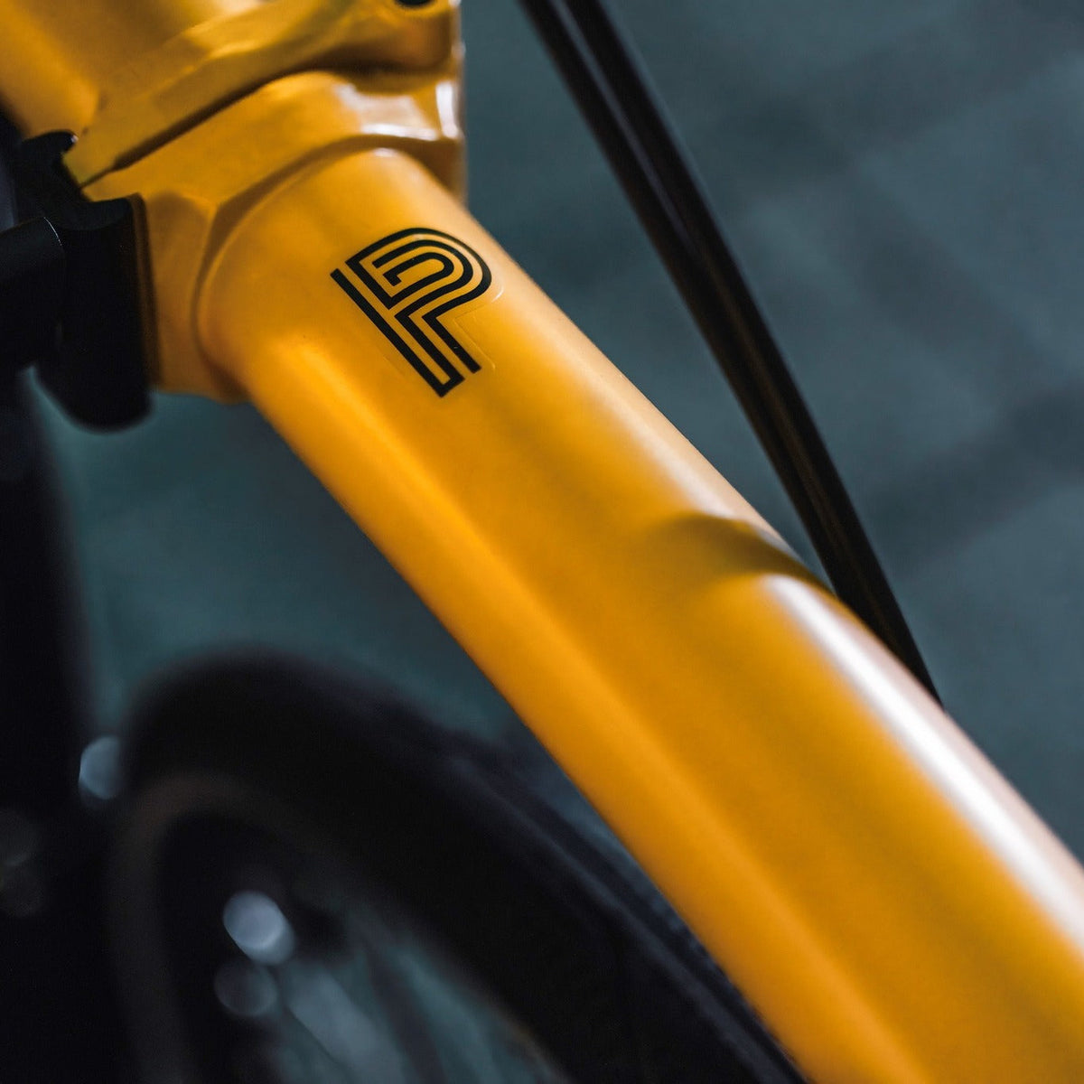 新色登場!Brompton P Line 🐝Bumble Bee Yellow(バンブルビーイエロー
