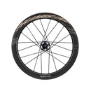 hubsmith(ハブスミス)HS-HUMBIRD CS406 for birdy Disk